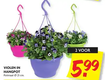 Dekamarkt Violen in hangpot 2st aanbieding