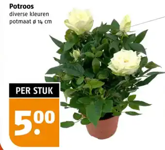 Poiesz Potroos aanbieding