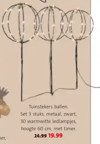 Intratuin Tuinstekers ballen aanbieding