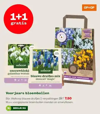 Welkoop Voorjaars bloembollen aanbieding