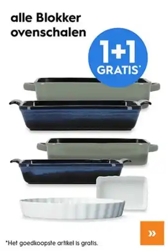 Blokker Alle blokker ovenschalen aanbieding