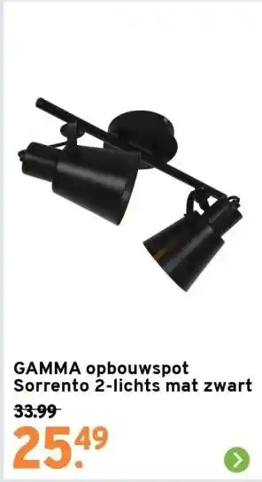 GAMMA Gamma opbouwspot sorrento 2-lichts mat zwart aanbieding