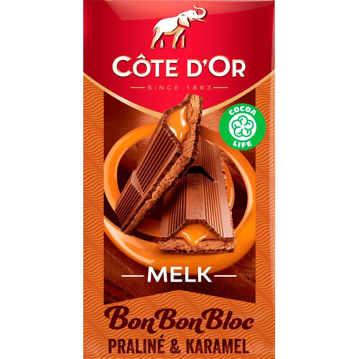 Côte d'or bonbonbloc chocoladereep melk praliné & karamel 200g ...