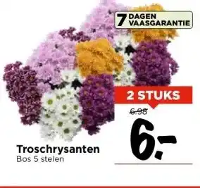 Vomar Voordeelmarkt Troschrysanten aanbieding