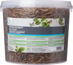 Intratuin Intratuin tuinvogelvoer gedroogde meelwormen 860 g aanbieding