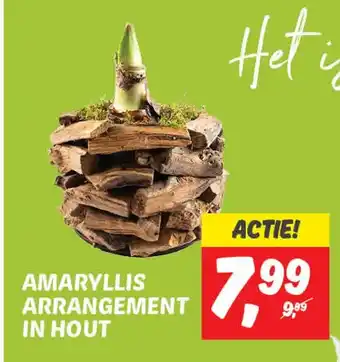 Dekamarkt Amaryllis arrangement in hout aanbieding