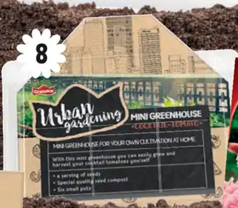 Lidl Grandiol Urban Gardening Mini-broeikas cocktailtomaatjes aanbieding