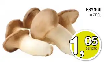 Amazing Oriëntal Eryngii aanbieding