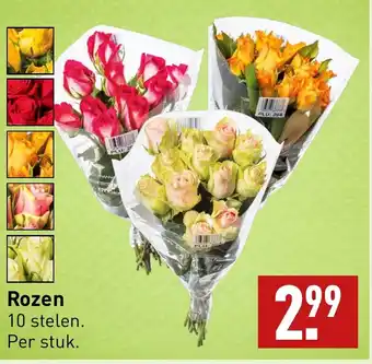 ALDI Rozen 10 stelen aanbieding