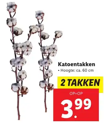 Lidl Katoentakken aanbieding