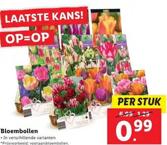 Lidl Bloembollen aanbieding