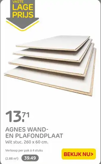 Praxis AGNES WAND-EN PLAFONDPLAAT aanbieding