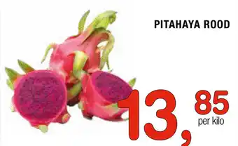 Amazing Oriëntal PITAHAYA ROOD aanbieding