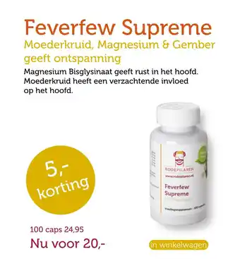 De Rode Pilaren Feverfew Supreme aanbieding