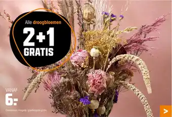 Kwantum Alle droogbloemen aanbieding