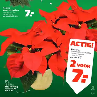Ranzijn Kerstster aanbieding