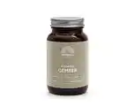 De Online Drogist Mattisson healthstyle gember capsules aanbieding