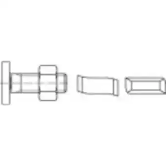 Conrad 160656 hamerkopbouten m10 25 mm staal galvanisch verzinkt 100 stuk(s) aanbieding