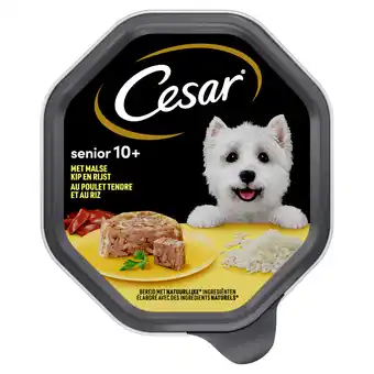 Dekamarkt Cesar hondenvoer senior kip-rijst gelei 10+ jaar aanbieding