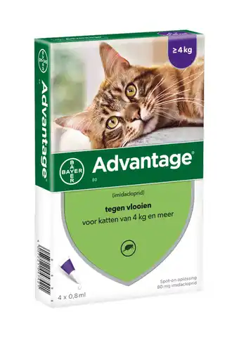 Zooplus 4 pipetten advantageâ 80 voor katten vanaf 4kg aanbieding