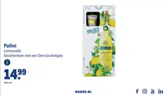 Makro Pallini Limoncello aanbieding