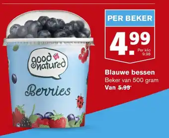 Hoogvliet Blauwe bessen 500g aanbieding