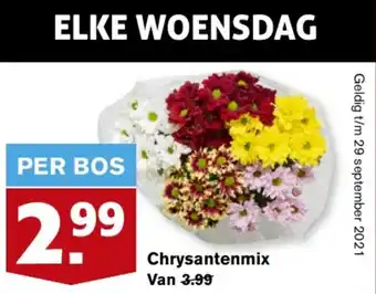 Hoogvliet Chrysantenmix aanbieding