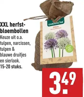 ALDI XXL herfst-bloembollen aanbieding