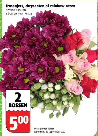 Poiesz Trosanjers, chrysanten of rainbow rozen aanbieding