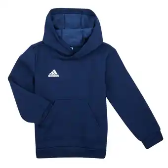 Spartoo Sweater adidas ent22 hoody y aanbieding