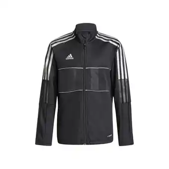 Spartoo Blazer adidas aanbieding