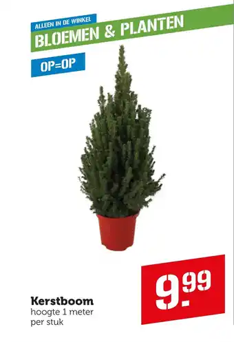 Coop Kerstboom aanbieding