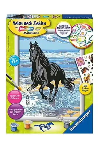 Amazon Pferd am strand. malen nach zahlen serie d pferde: mit pferde stickerbogen! aanbieding