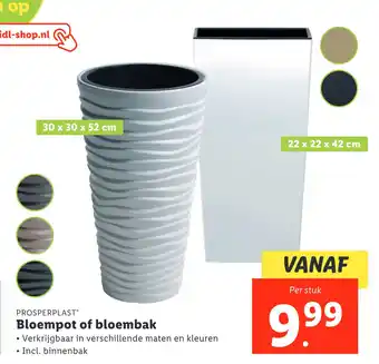 Lidl Bloempot of bloembak aanbieding