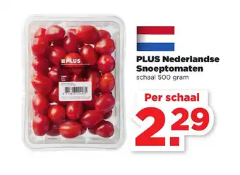 PLUS Plus nederlandse snoeptomaten 500 gram aanbieding