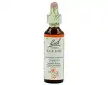 De Online Drogist Bach flower remedies zonneroosje 26 aanbieding