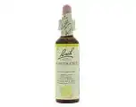 De Online Drogist Bach flower remedies kamperfoelie 16 aanbieding