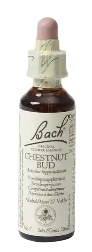 De Online Drogist Bach flower remedies kastanjeknop 07 aanbieding