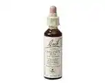 De Online Drogist Bach flower remedies kastanjeknop 07 aanbieding