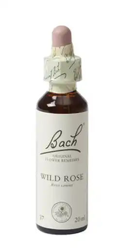De Online Drogist Bach flower remedies hondsroos 37 aanbieding