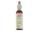 De Online Drogist Bach flower remedies lariks 19 aanbieding
