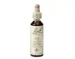 De Online Drogist Bach flower remedies wijnrank 32 aanbieding