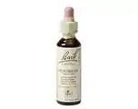 De Online Drogist Bach flower remedies haagbeuk 17 aanbieding