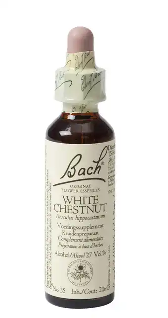 De Online Drogist Bach flower remedies paardekastanje 35 aanbieding