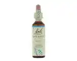 De Online Drogist Bach flower remedies bronwater 27 aanbieding