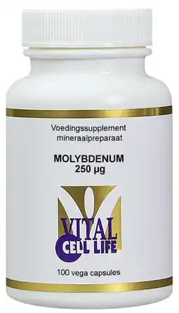De Online Drogist Vital cell life molybdenum 250 mcg capsules aanbieding