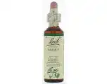 De Online Drogist Bach flower remedies walnoot 33 aanbieding