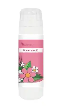 De Online Drogist Balance pharma flowerplex 031 levensverandering aanbieding
