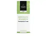 De Online Drogist Volatile geranium bourbon (geranium pelargoniumgraveolens) 5ml aanbieding
