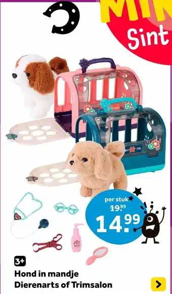 Intertoys Hond in mandje Dierenarts of Trimsalon aanbieding